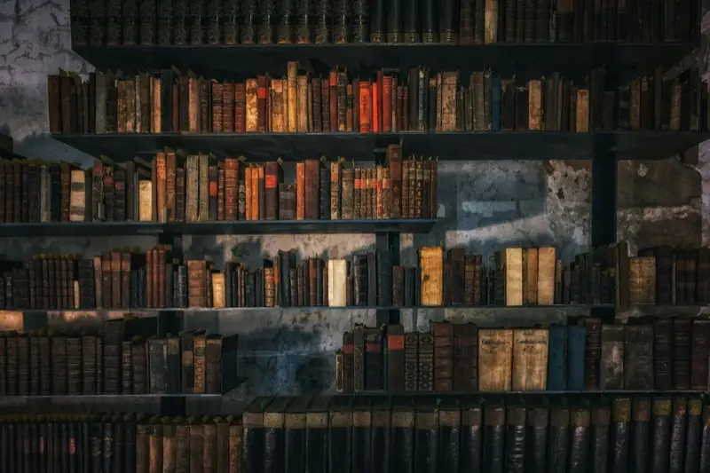 Scaffali di legno con libri in una biblioteca