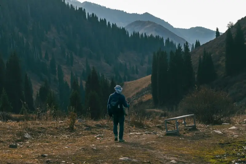 Un uomo cammina in una valle di montagna tra i pini, lontano dagli schermi