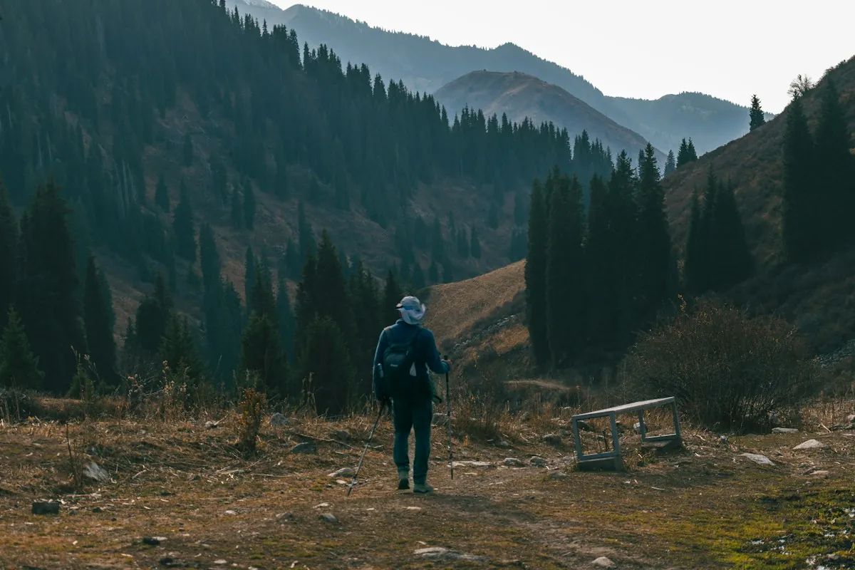 A man walking through a mountain valley among pine trees, away from the screens